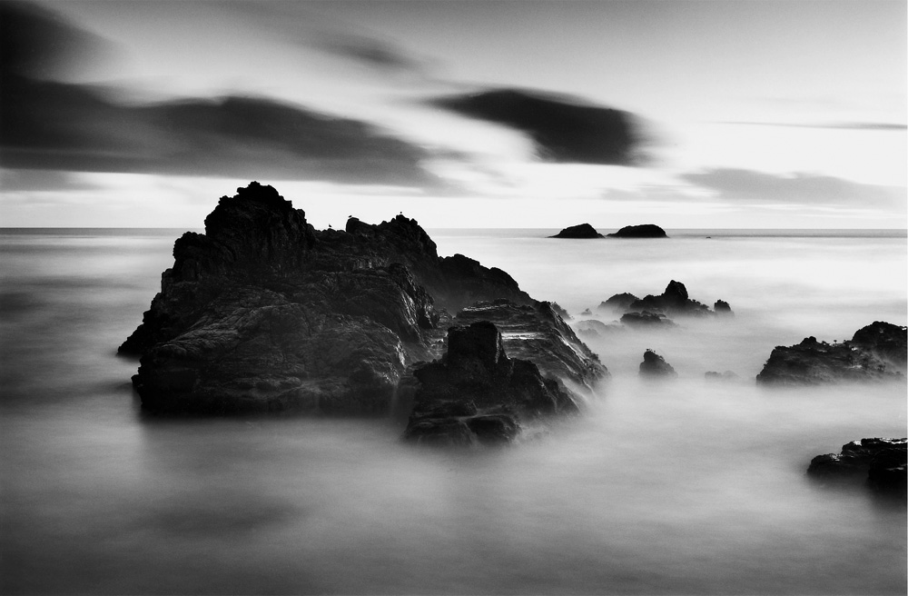 ThreeAndAHalfBirdsOnARock